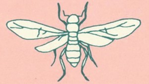 about_termite_img001