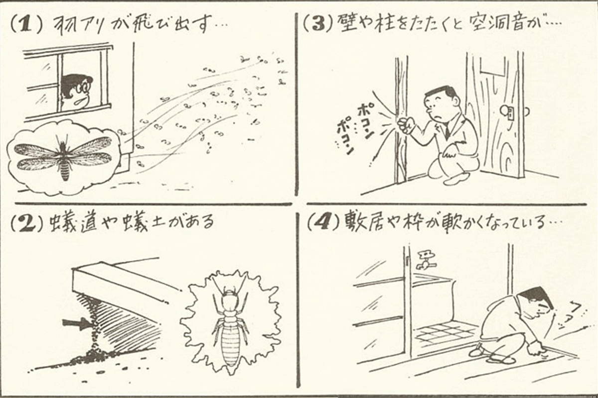 シロアリのキケン信号