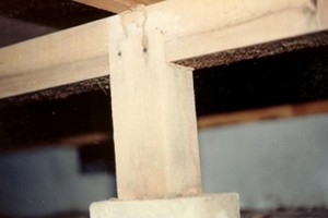 about_termite_img012