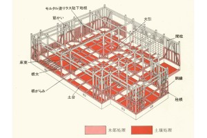 about_termite_img021