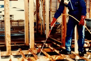 about_termite_img023
