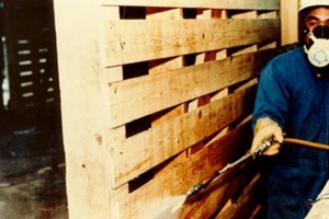 about_termite_img025