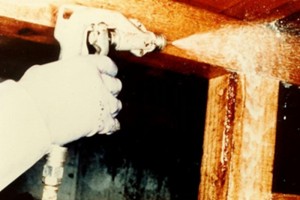 about_termite_img028