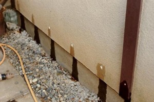 about_termite_img030
