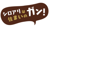 index_slide001_catch