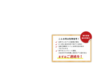 index_slide002_catch